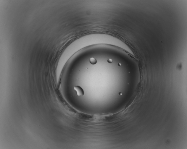 X0000111820128200907301306