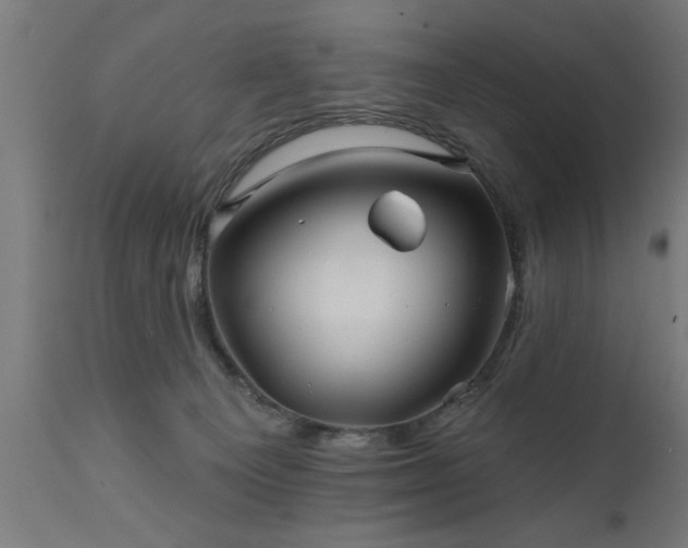 X0000111820129200907301305