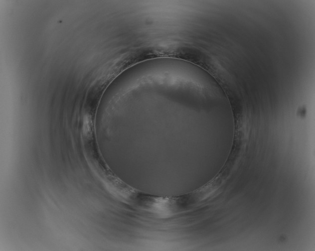 X0000111820130200907301305