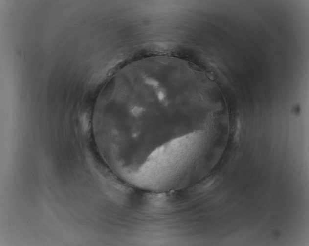 X0000111820131200907301305