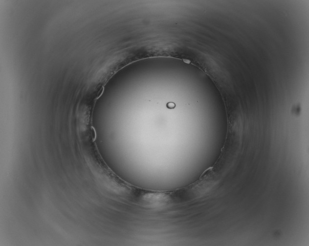 X0000111820133200907301305