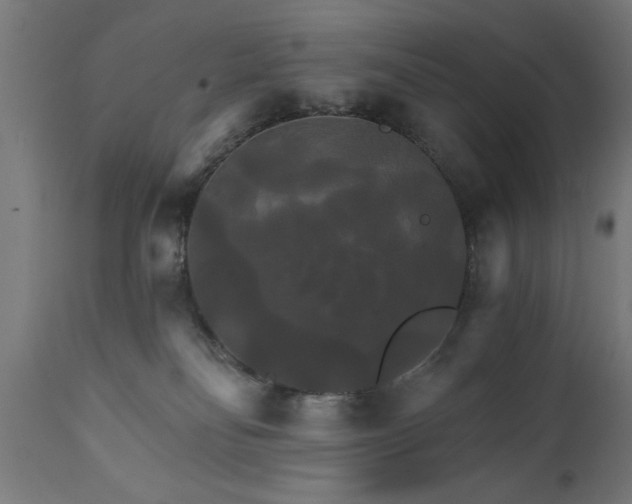 X0000111820134200907301305