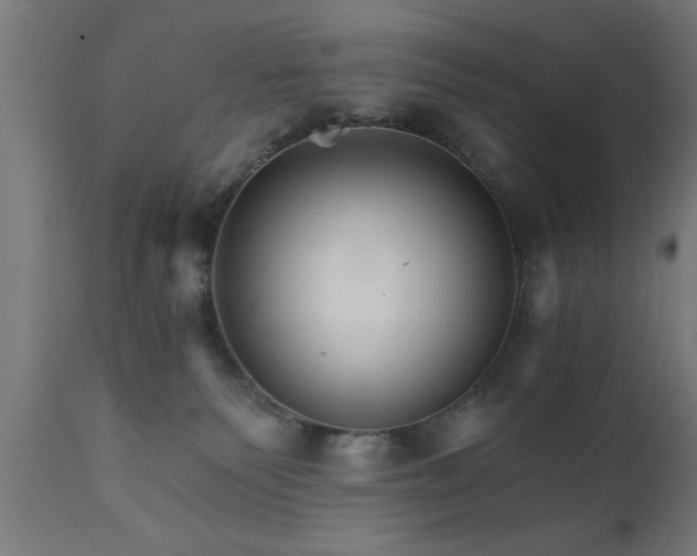 X0000111820135200907301305