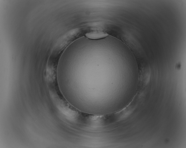 X0000111820136200907301305