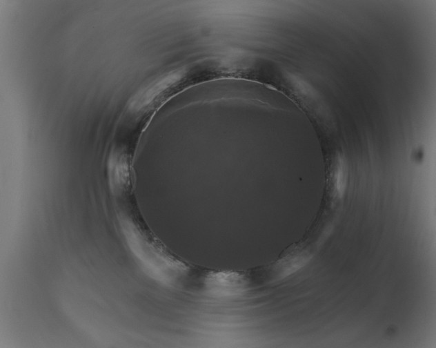X0000111820137200907301305