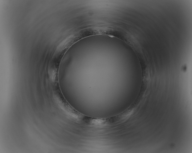 X0000111820139200907301305