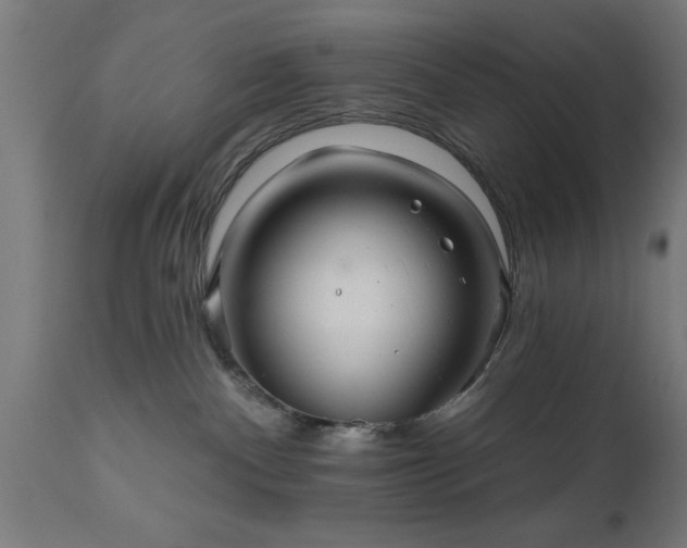 X0000111820140200907301305
