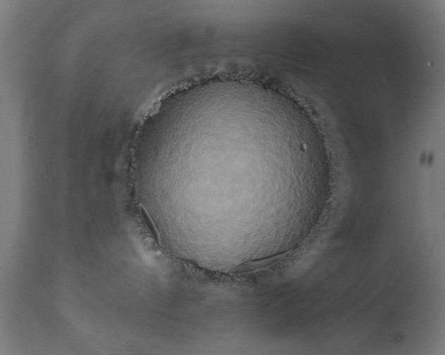 X0000111820144200907301305