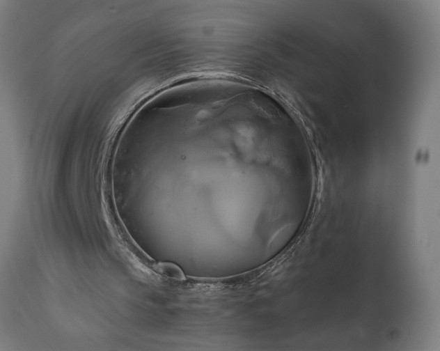 X0000111820145200907301305
