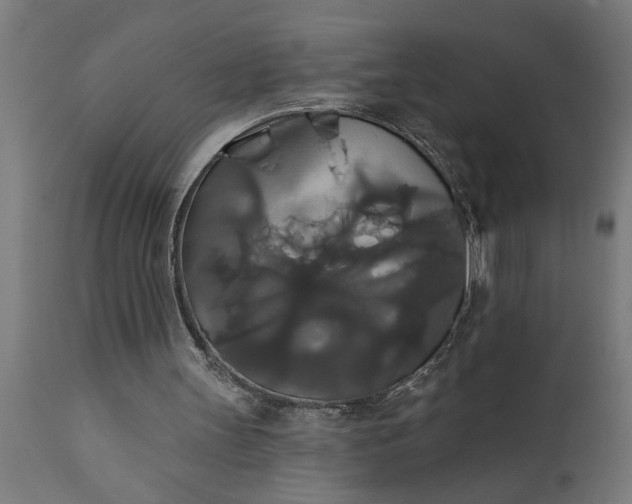 X0000111820147200907301305