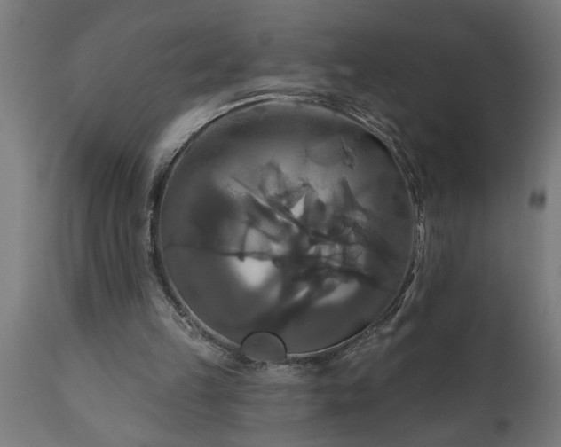 X0000111820149200907301305