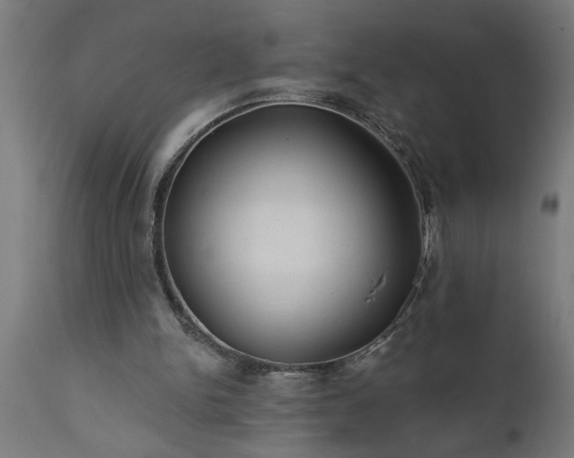 X0000111820150200907301305
