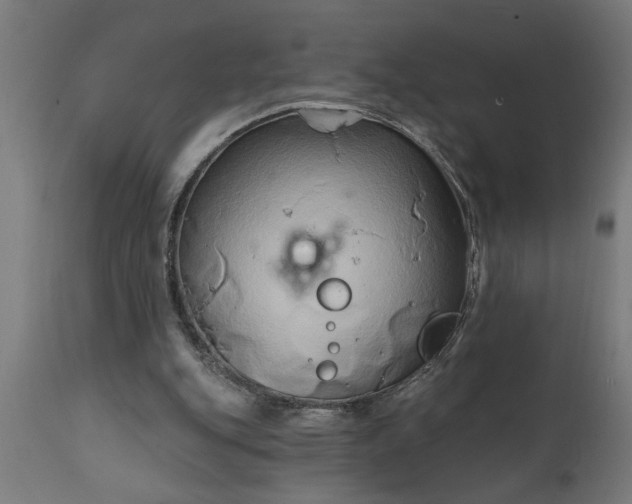 X0000111820151200907301305