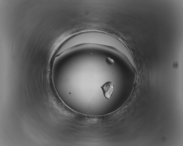 X0000111820152200907301305
