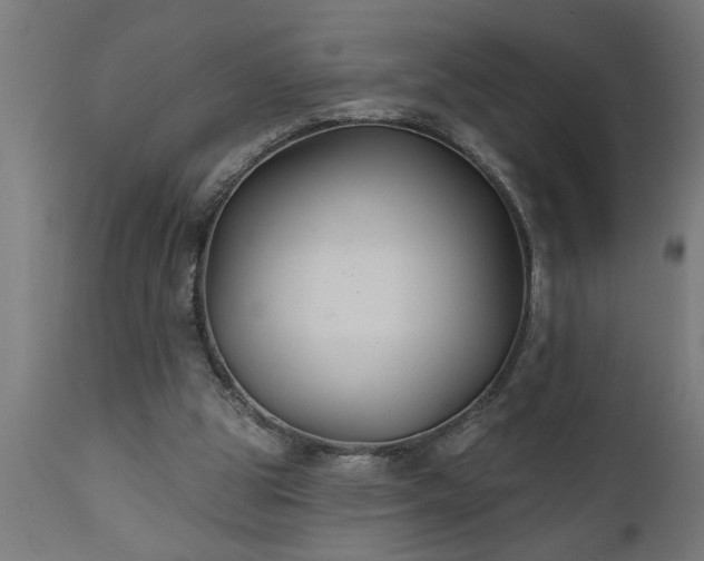 X0000111820153200907301305