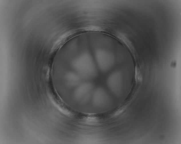 X0000111820157200907301305