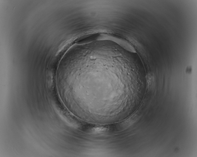 X0000111820158200907301305