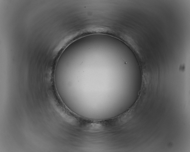 X0000111820159200907301305
