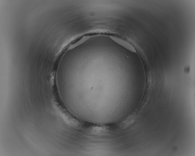 X0000111820160200907301305
