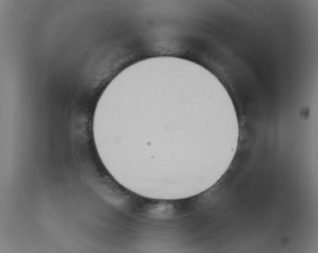 X0000111820162200907301305