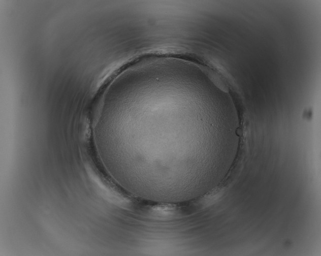 X0000111820164200907301305