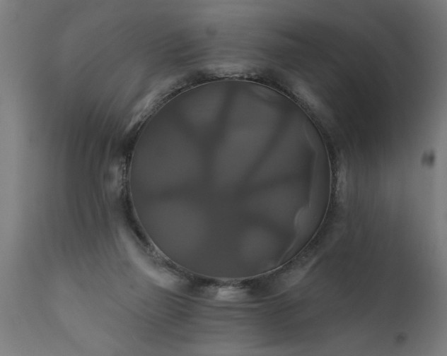 X0000111820165200907301305