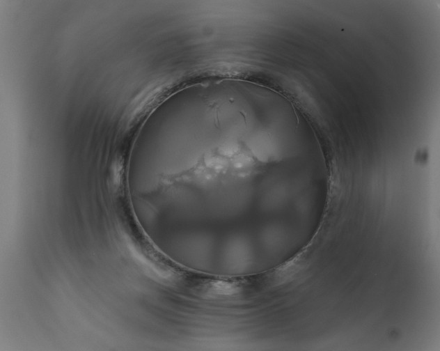 X0000111820166200907301305