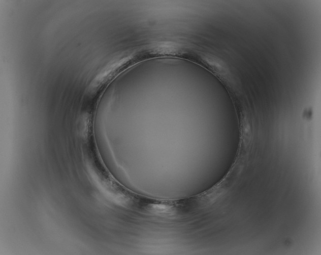 X0000111820167200907301305
