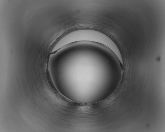 X0000111820168200907301305