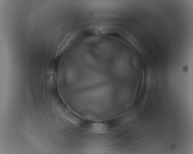 X0000111820169200907301305