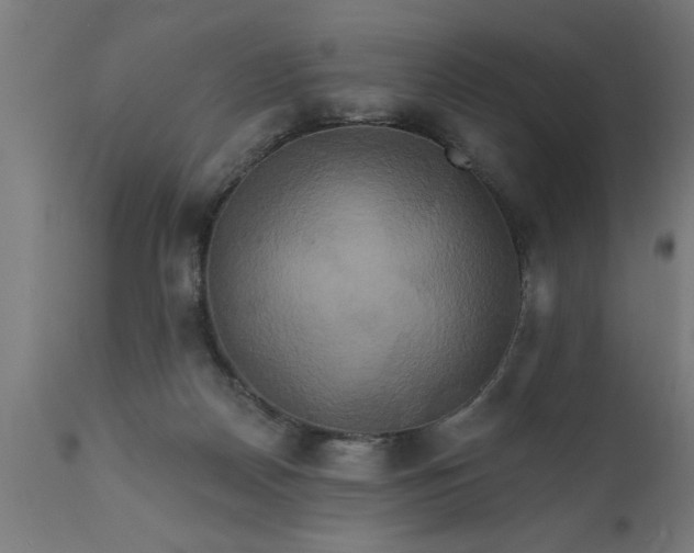 X0000111820170200907301305