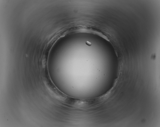 X0000111820174200907301305