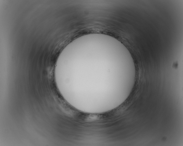 X0000111820177200907301305