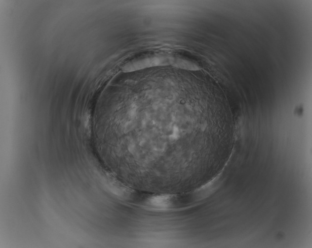 X0000111820178200907301305