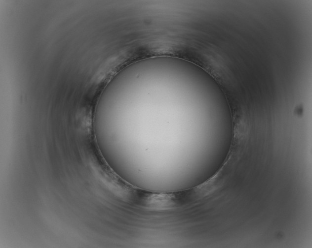 X0000111820179200907301305