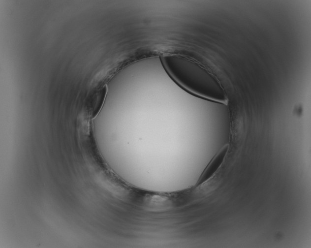 X0000111820180200907301305