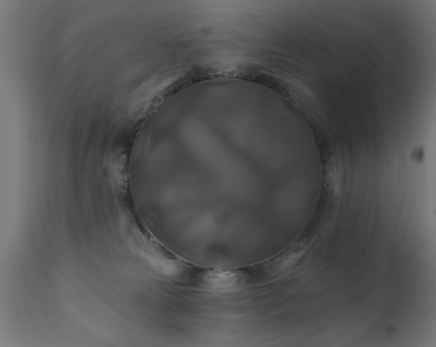 X0000111820181200907301305