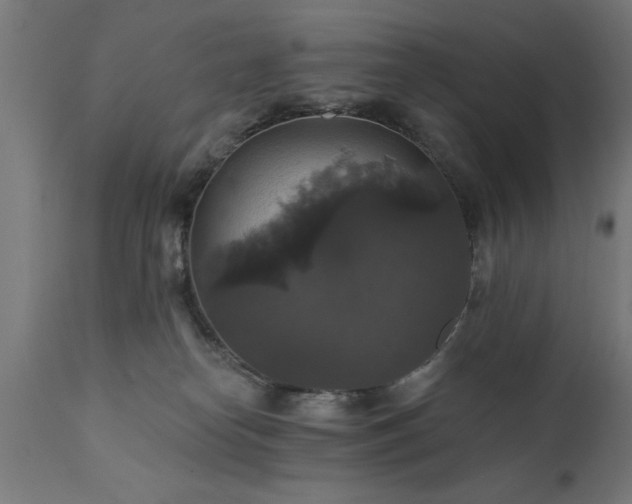 X0000111820182200907301305