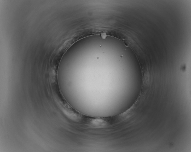 X0000111820183200907301305