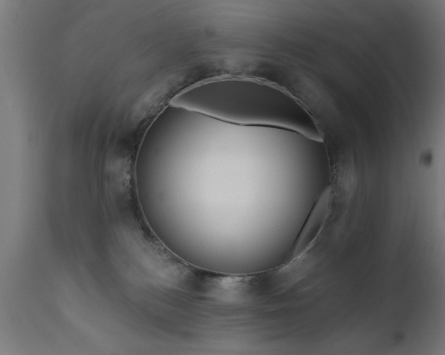 X0000111820184200907301305