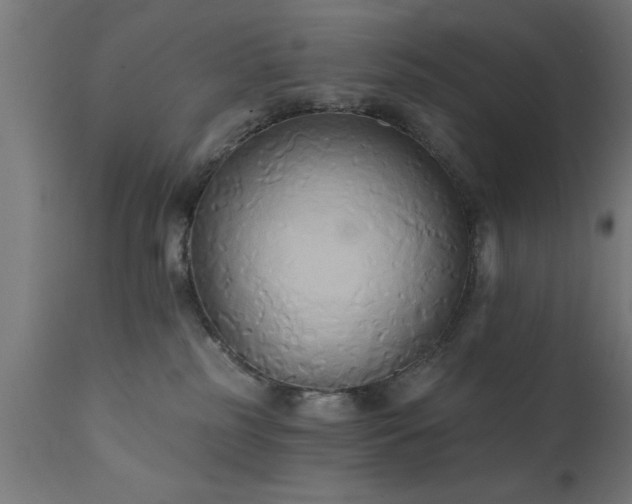 X0000111820185200907301305
