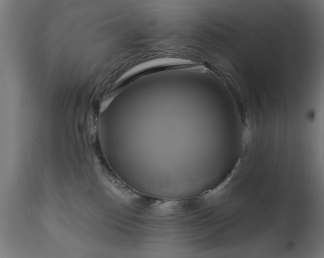 X0000111820186200907301305