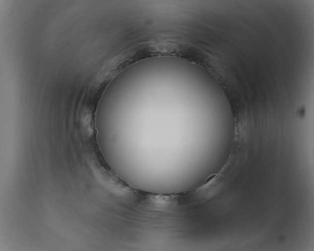 X0000111820187200907301305