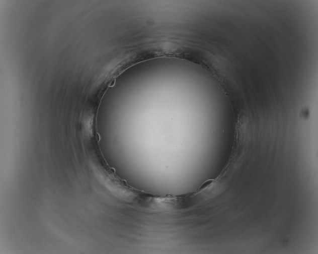 X0000111820188200907301305