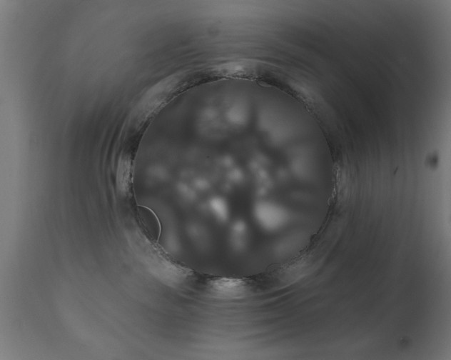 X0000111820189200907301305