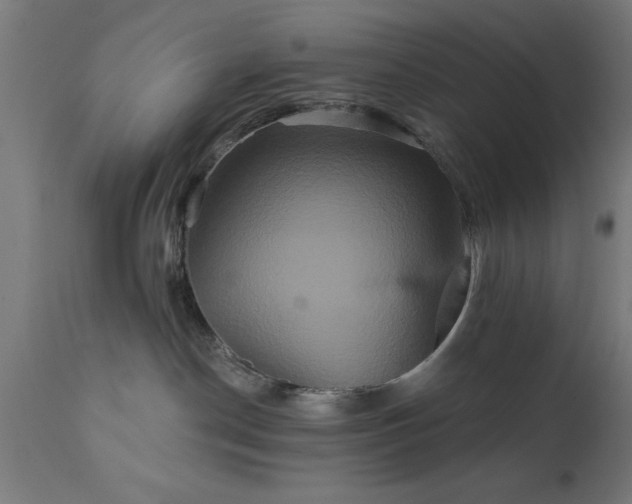 X0000111820190200907301305
