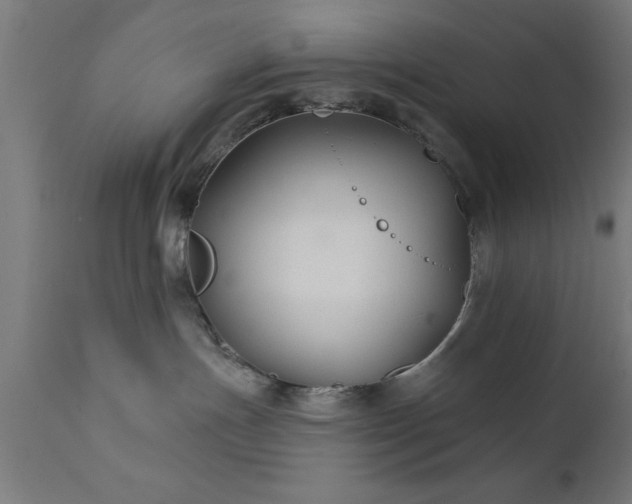 X0000111820191200907301305