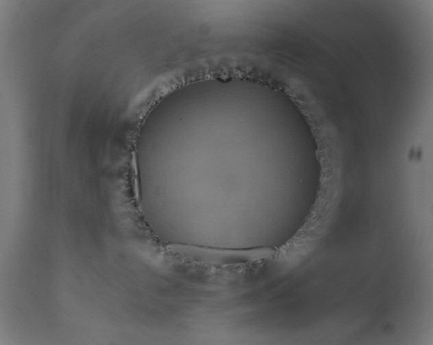 X0000111820192200907301305