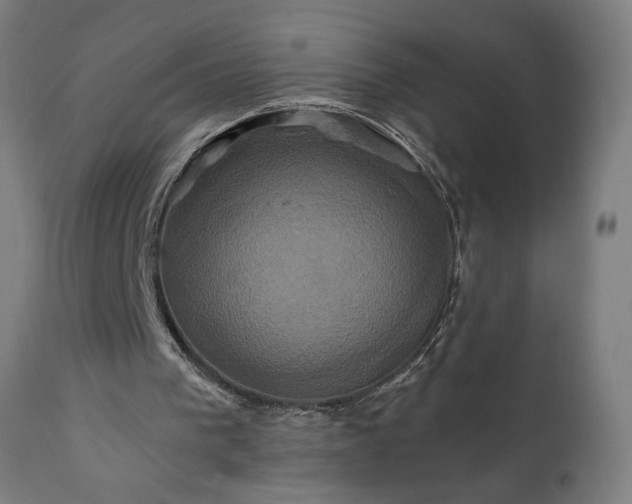 X0000111820193200907301305
