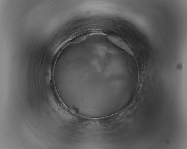 X0000111820194200907301305